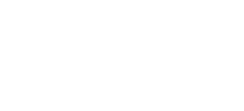 DDV Services